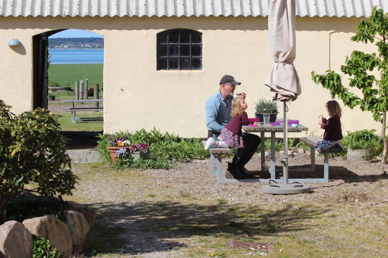 Stutteri Ahl Near Beach And Town Ebeltoft Exterior photo