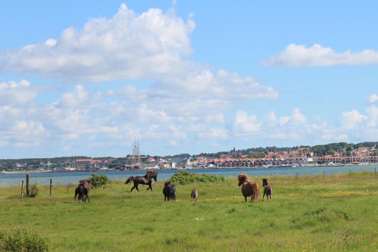 Stutteri Ahl Near Beach And Town Ebeltoft Exterior photo
